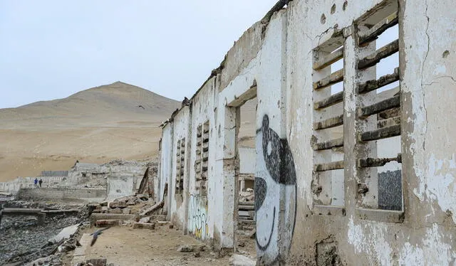 Construcción del penal El Frontón amenaza a especies protegidas en el ...